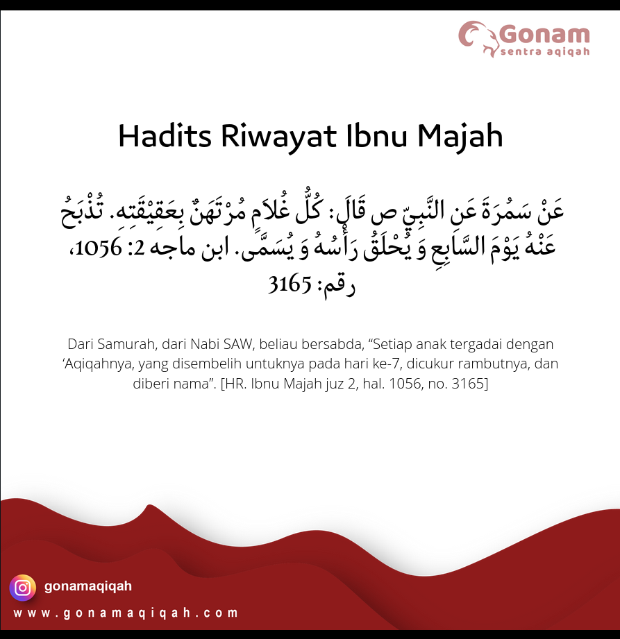 7 Dalil Hadits Tentang Aqiqah